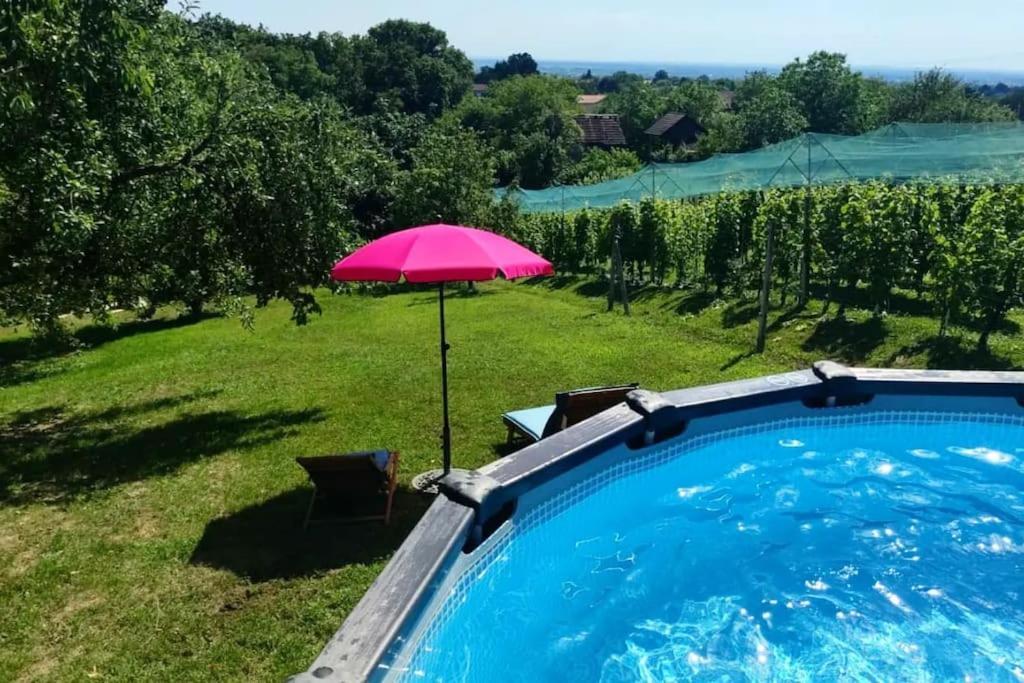 Kuca Za Odmor Villa Cesarica - Zagreb Graberje Ivanićko Extérieur photo
