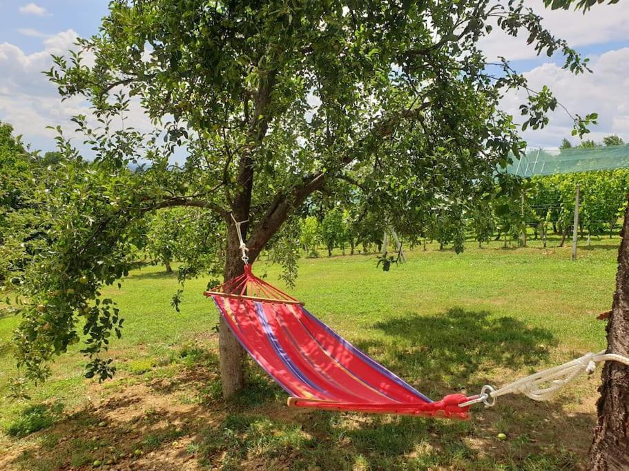 Kuca Za Odmor Villa Cesarica - Zagreb Graberje Ivanićko Extérieur photo